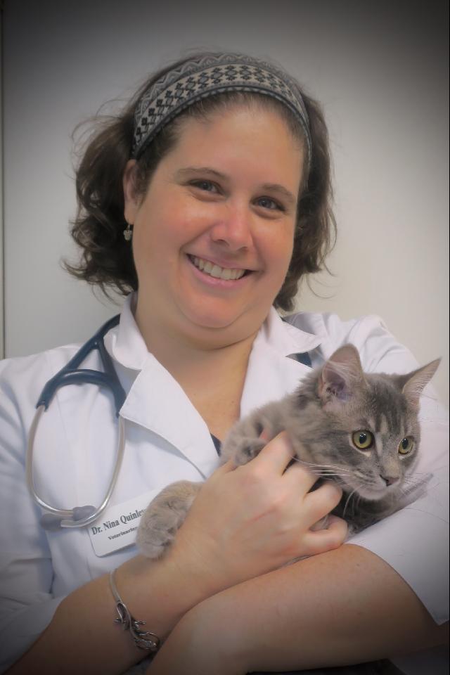 Dr. Nina Quinley holding a grey cat