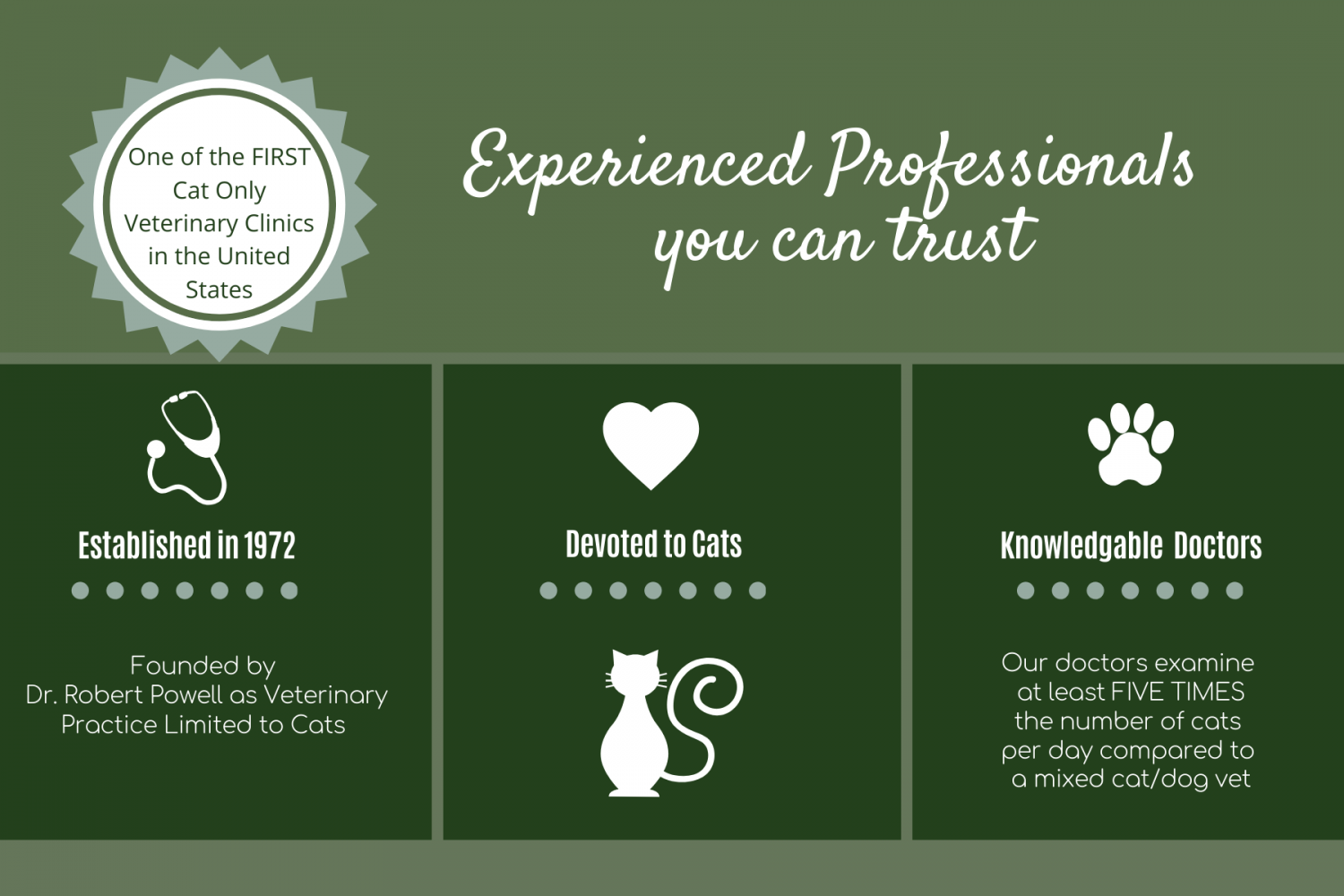 Experienced Professionals You Can Trust
